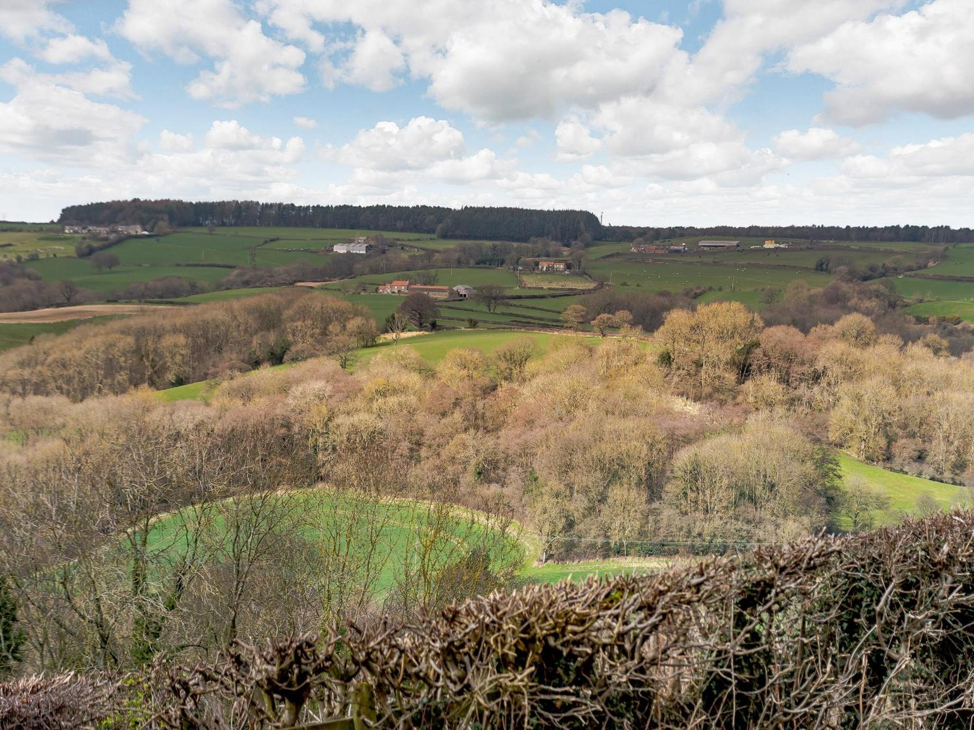 Esk Dale View Βίλα Grosmont  Εξωτερικό φωτογραφία